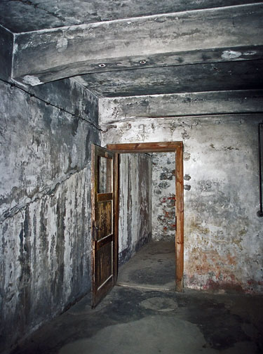 cp_gas chamber door